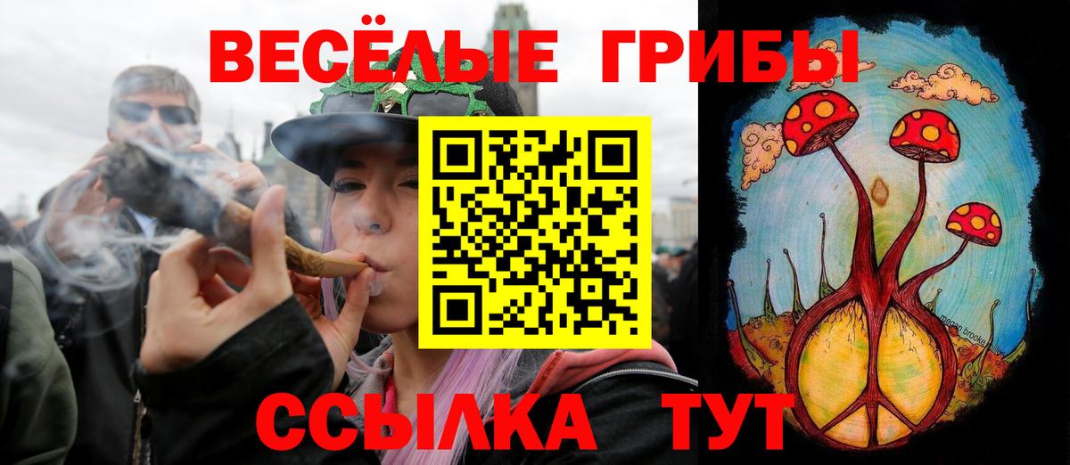 Сочи  Псилоцибиновые грибы GOLDEN TEACHER  Вход с VPN 
