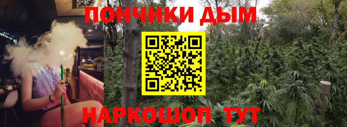 Бошки Шишки марихуана  Вход с VPN  Сочи  Бошки марихуана Ganja  Конопля план 